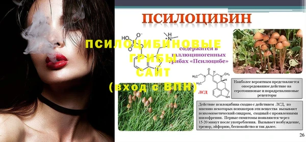 ешки Нея