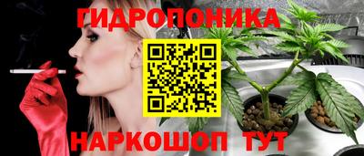 герыч Будённовск