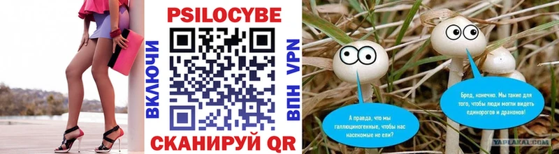 Галлюциногенные грибы GOLDEN TEACHER  Ипатово 