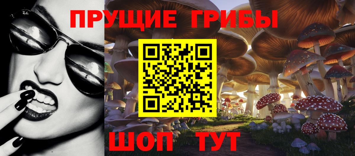 Псилоцибиновые грибы MAGIC MUSHROOMS  наркотики  Ипатово  Вход с VPN 