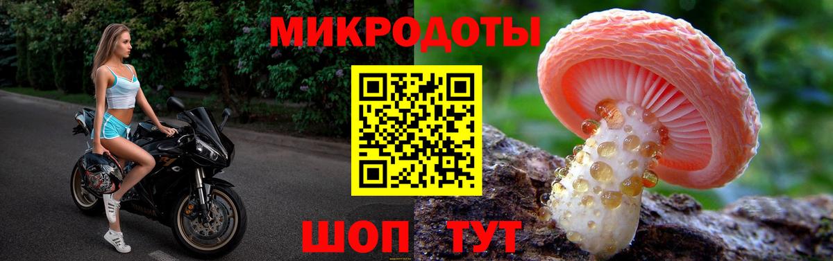 как найти наркотики  Ипатово  Галлюциногенные грибы мицелий 